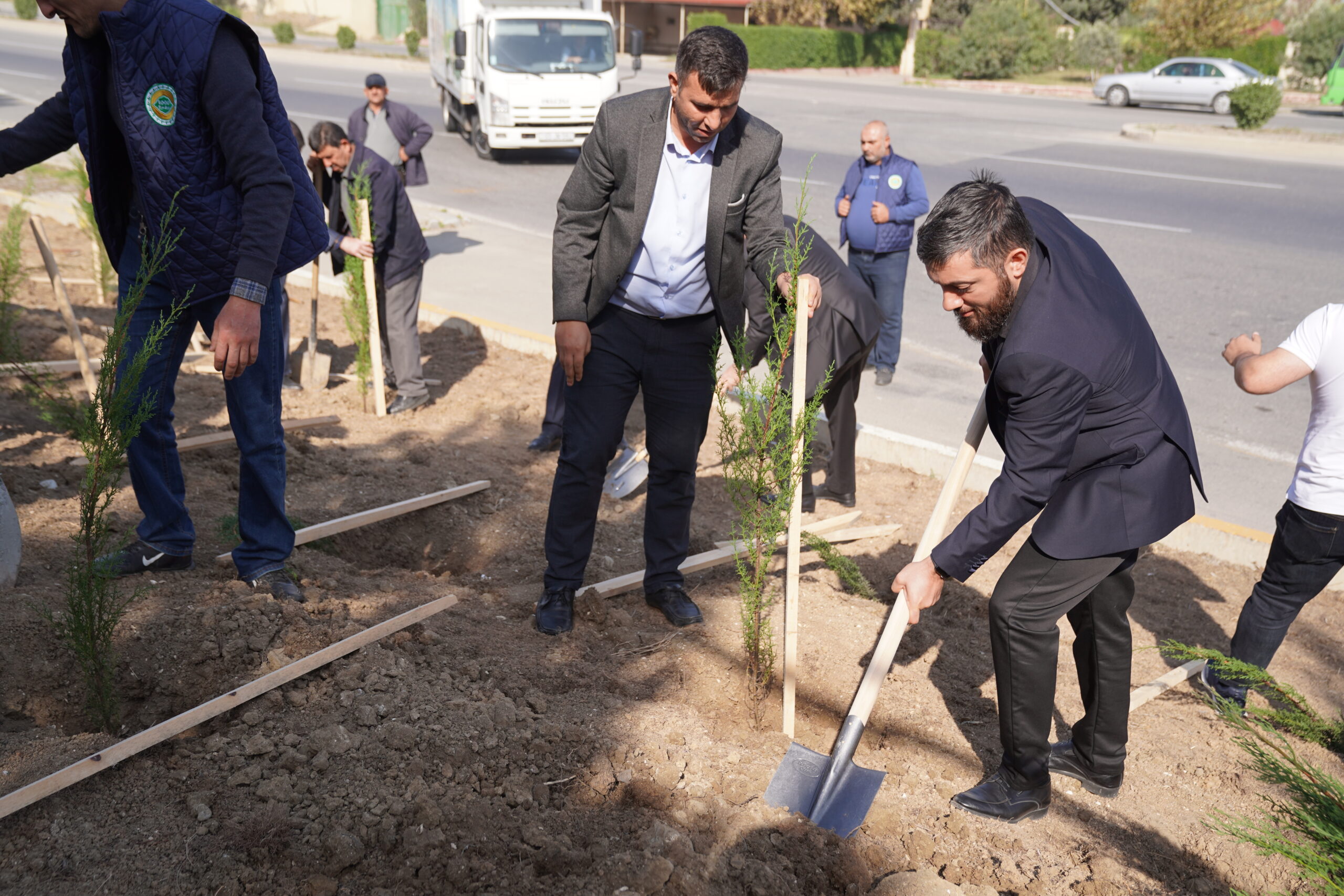 “Səhliyalı” şirkətinin dəstəyi ilə ağacəkmə aksiyası keçirilib